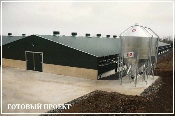Этапы возведения птицефабрики от завода ВелесТент-срк